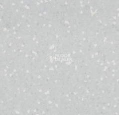 Линолеум Forbo Sphera Sd 550003 light neutral grey фото 1 | FLOORDEALER